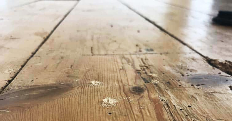 Timber Floor from Penzance Cornwall with wood worm
